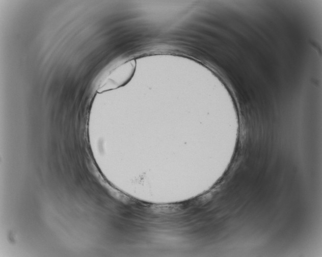 X0000103461437200810240939