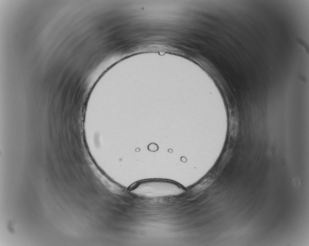 X0000103461438200810240939