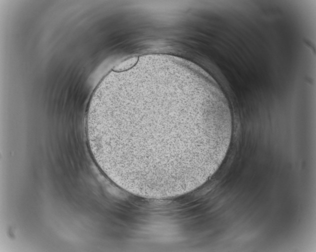 X0000103461439200810240939