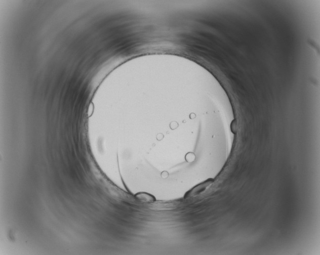 X0000103461440200810240939