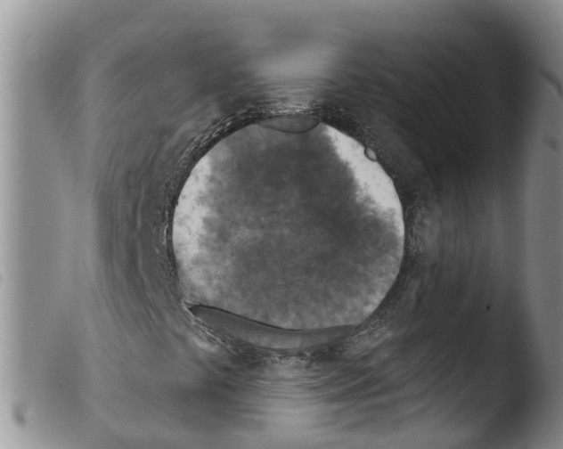 X0000103461441200810240938