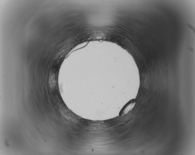 X0000103461442200810240938