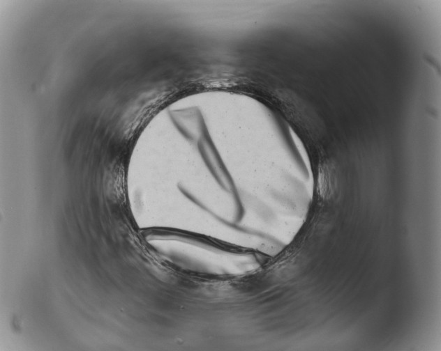 X0000103461444200810240938