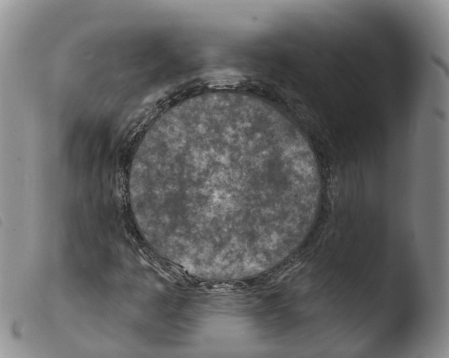 X0000103461445200810240938