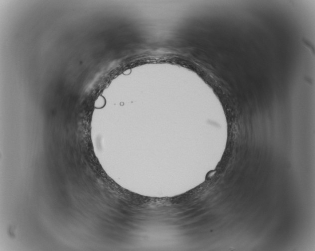 X0000103461447200810240938