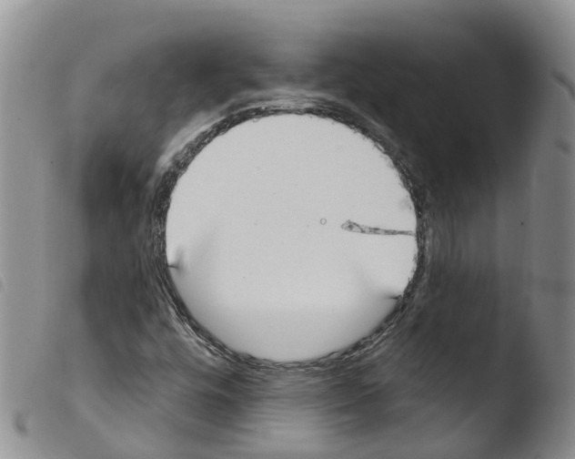 X0000103461448200810240938