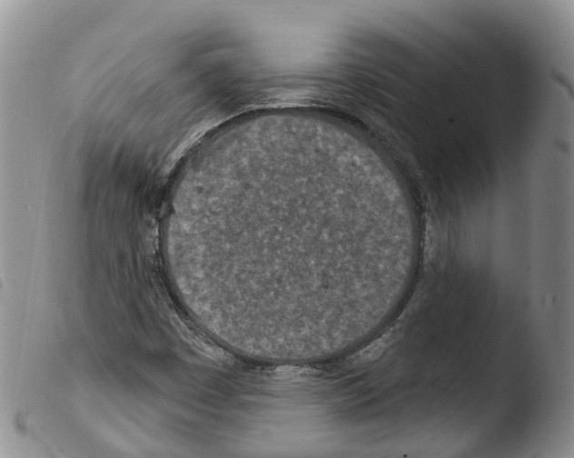 X0000103461449200810240938
