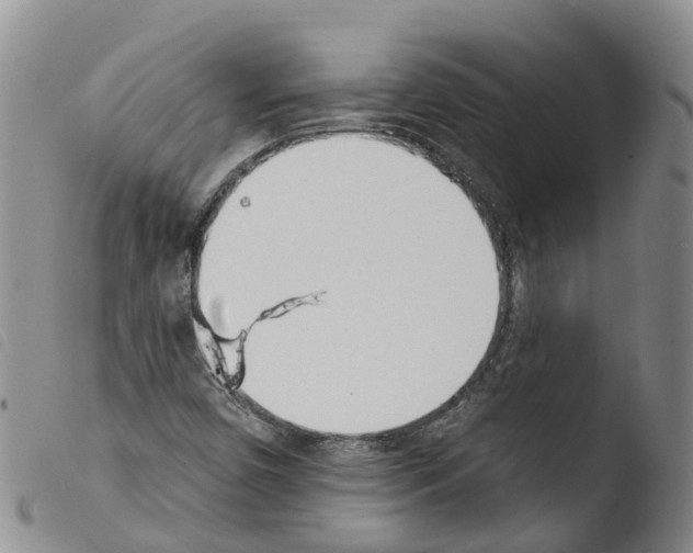 X0000103461450200810240938