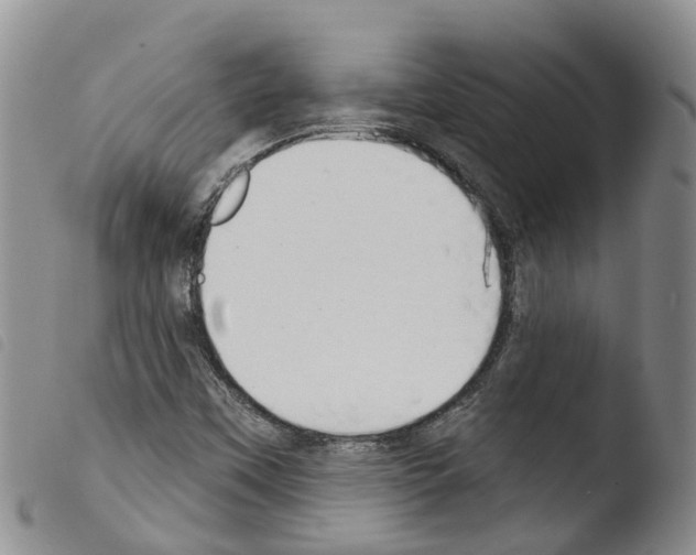 X0000103461451200810240938