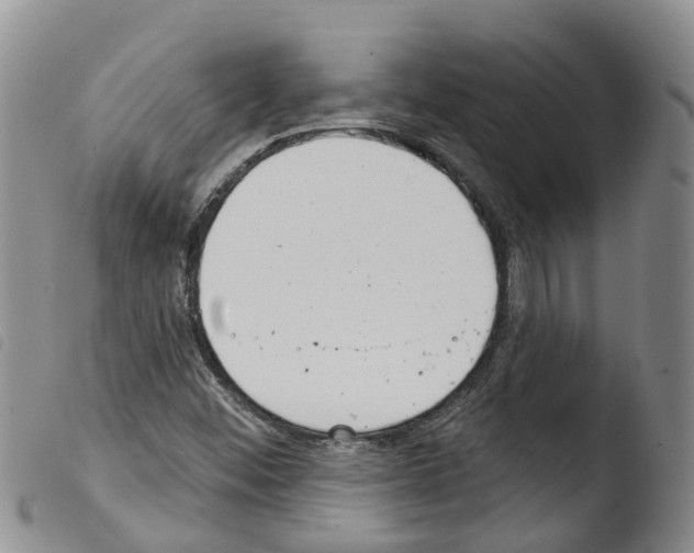 X0000103461452200810240938
