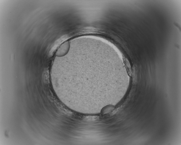 X0000103461453200810240938