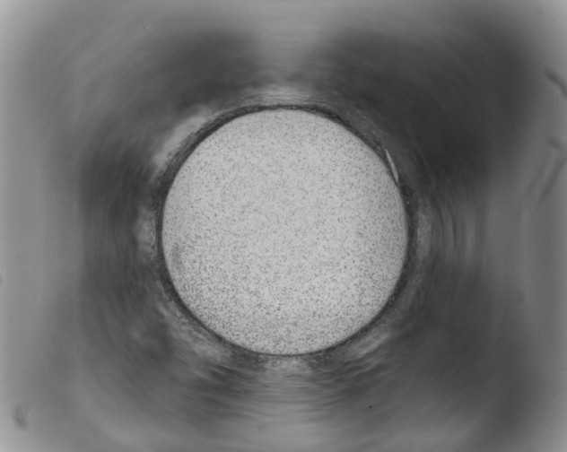 X0000103461454200810240938