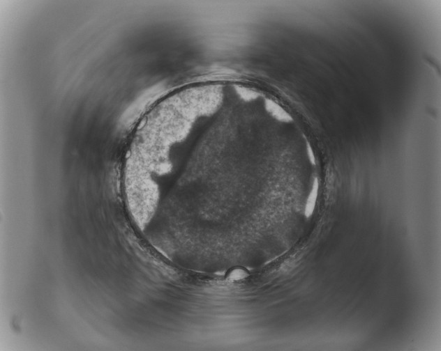X0000103461455200810240938
