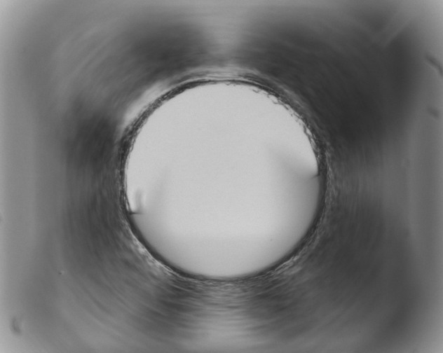 X0000103461456200810240938