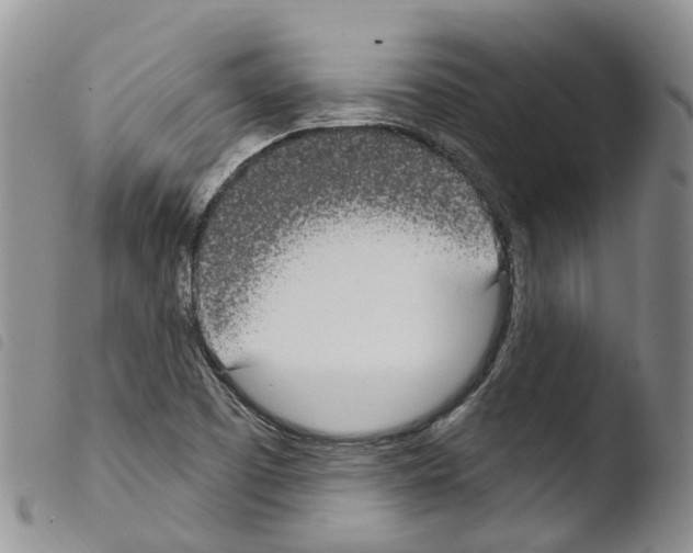 X0000103461457200810240938