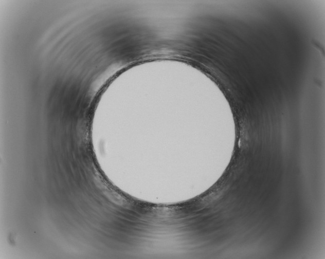 X0000103461458200810240938