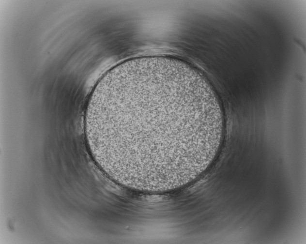 X0000103461459200810240938