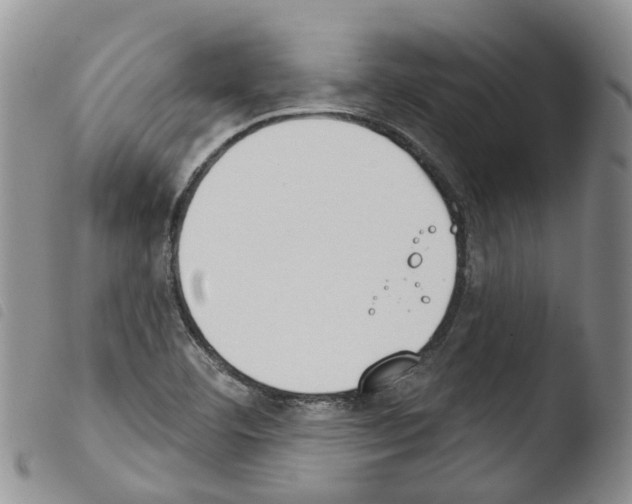 X0000103461460200810240938