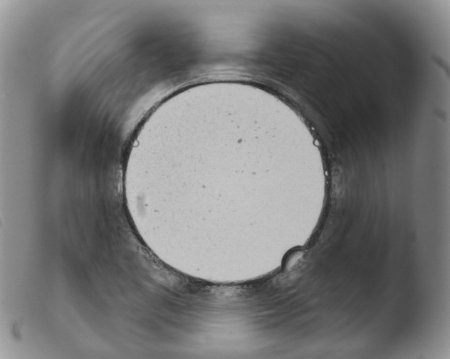X0000103461461200810240938