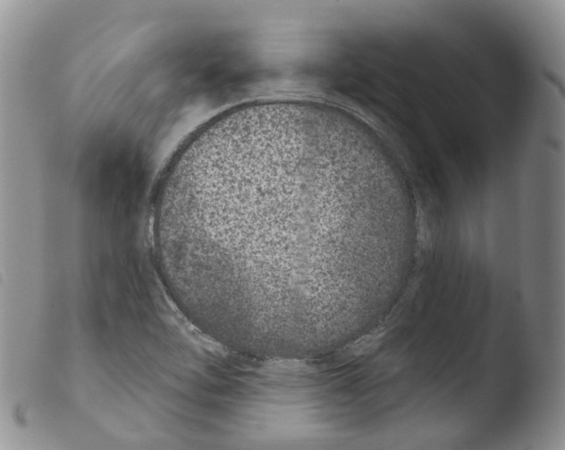 X0000103461462200810240938