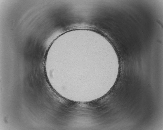 X0000103461463200810240938
