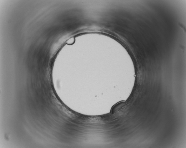 X0000103461464200810240938