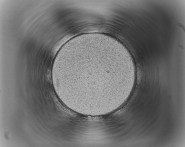 X0000103461465200810240938