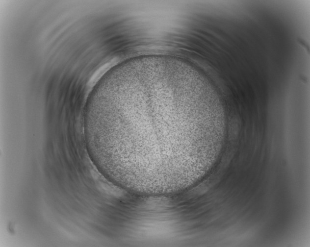 X0000103461466200810240938
