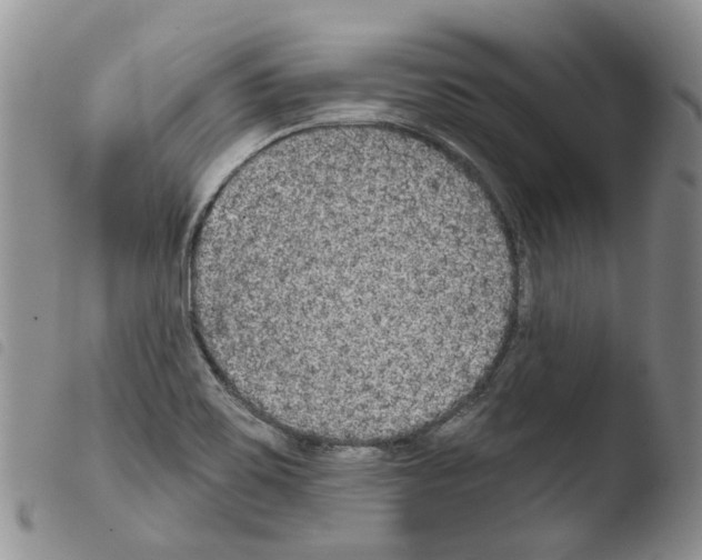 X0000103461467200810240937