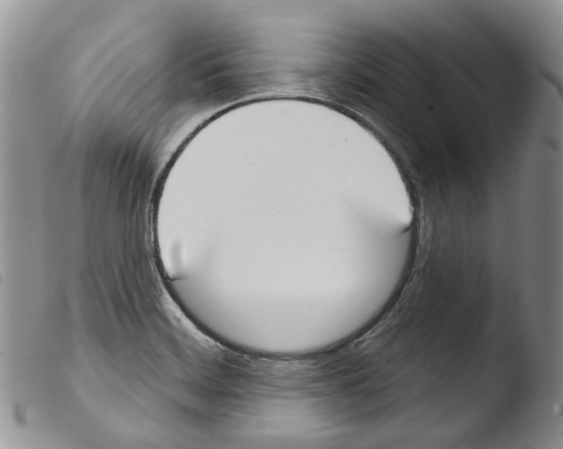 X0000103461468200810240937