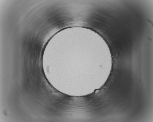 X0000103461469200810240937