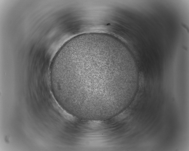 X0000103461470200810240937