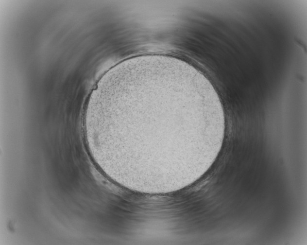 X0000103461471200810240937