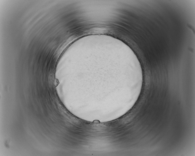 X0000103461473200810240937