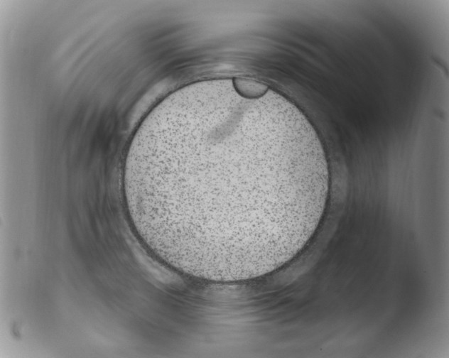 X0000103461474200810240937