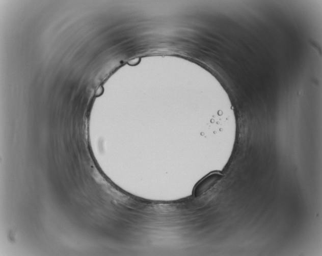 X0000103461476200810240937