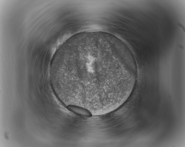 X0000103461477200810240937