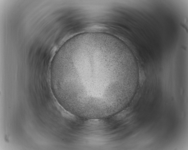 X0000103461478200810240937