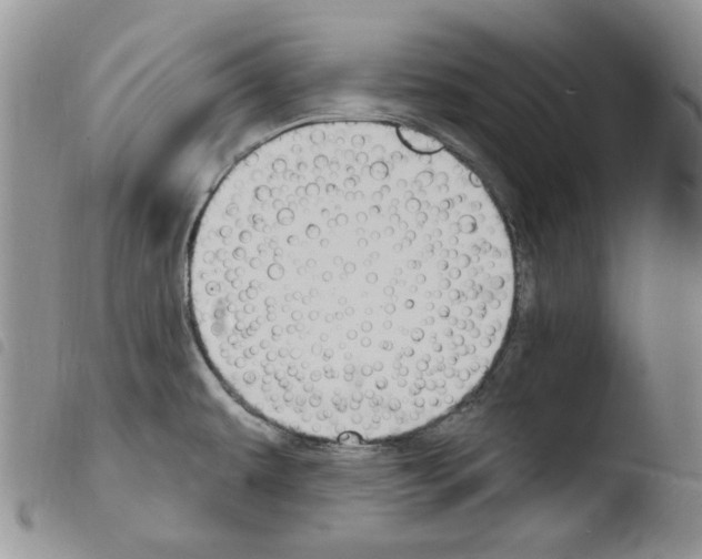 X0000103461479200810240937