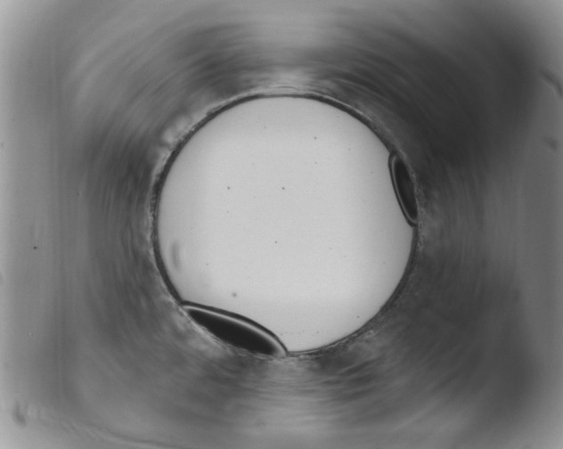 X0000103461480200810240937