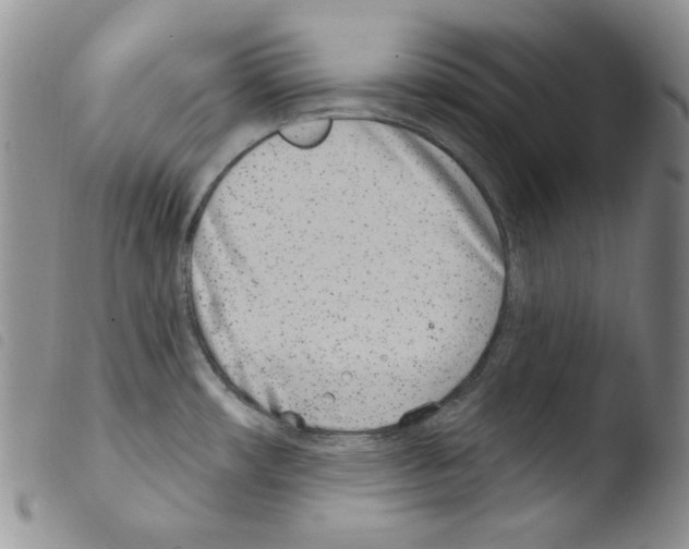 X0000103461482200810240937