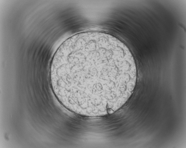 X0000103461483200810240937