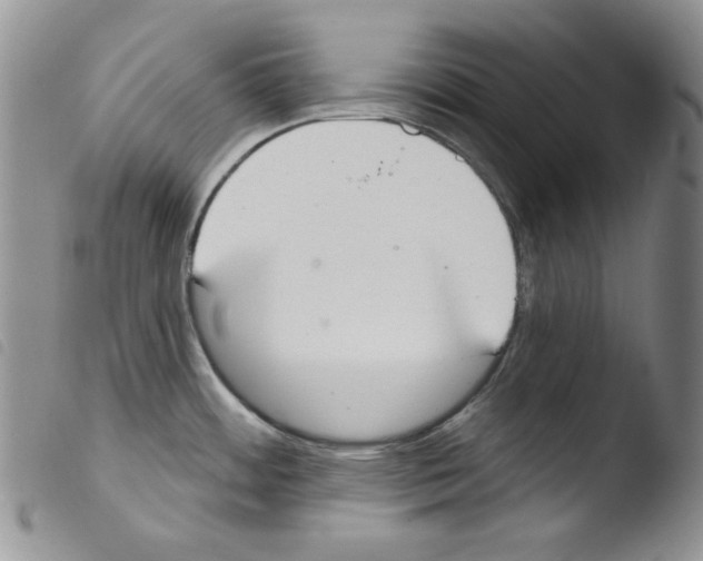 X0000103461484200810240937