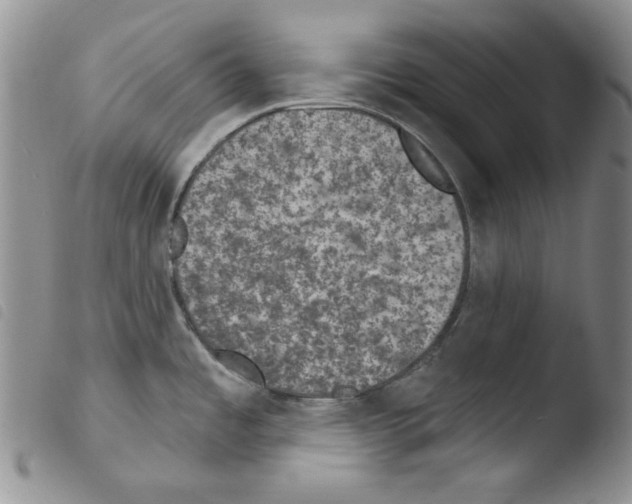 X0000103461485200810240937