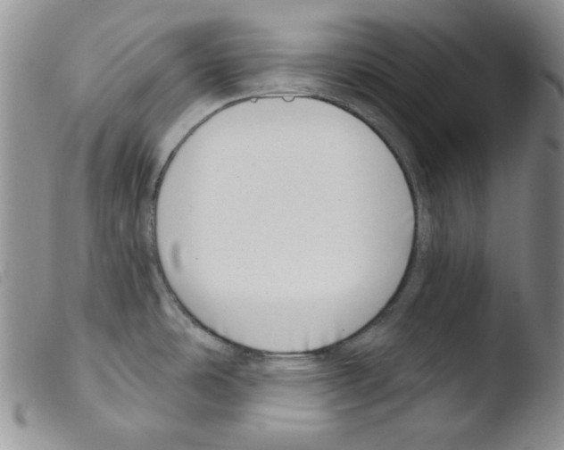X0000103461486200810240937