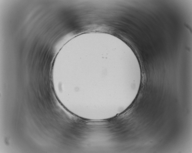 X0000103461487200810240937