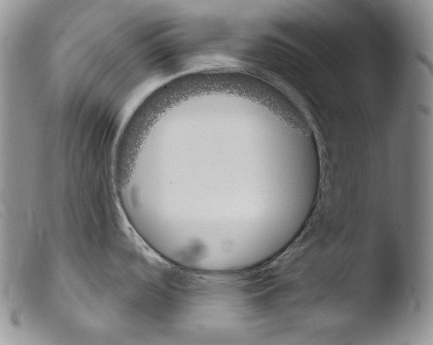 X0000103461488200810240937