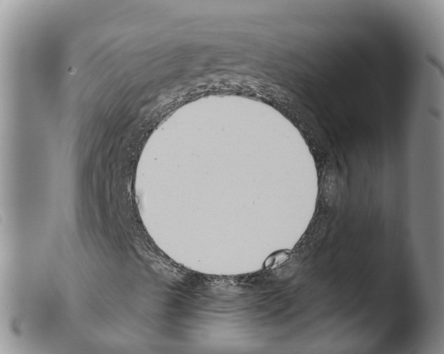 X0000103461489200810240937