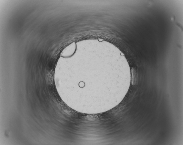 X0000103461491200810240937