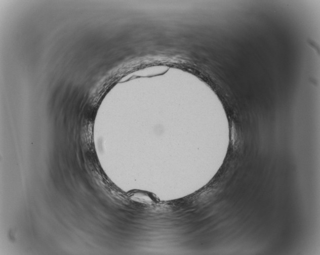 X0000103461492200810240937